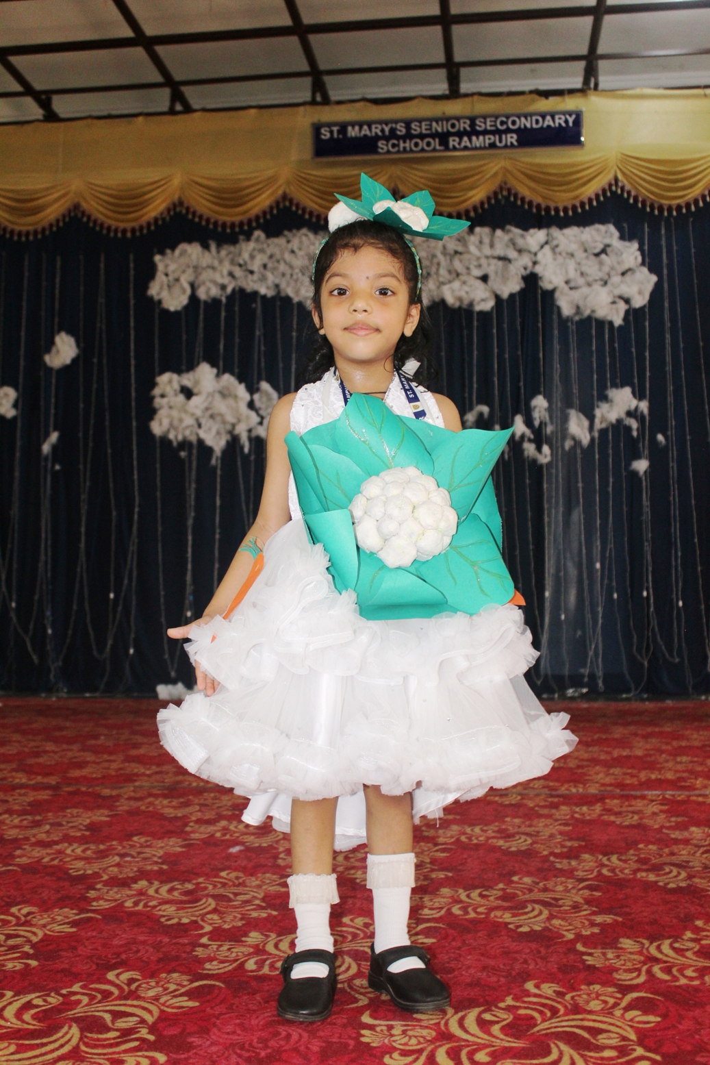 Fancy Dress Competition Classes Nursery to UKG