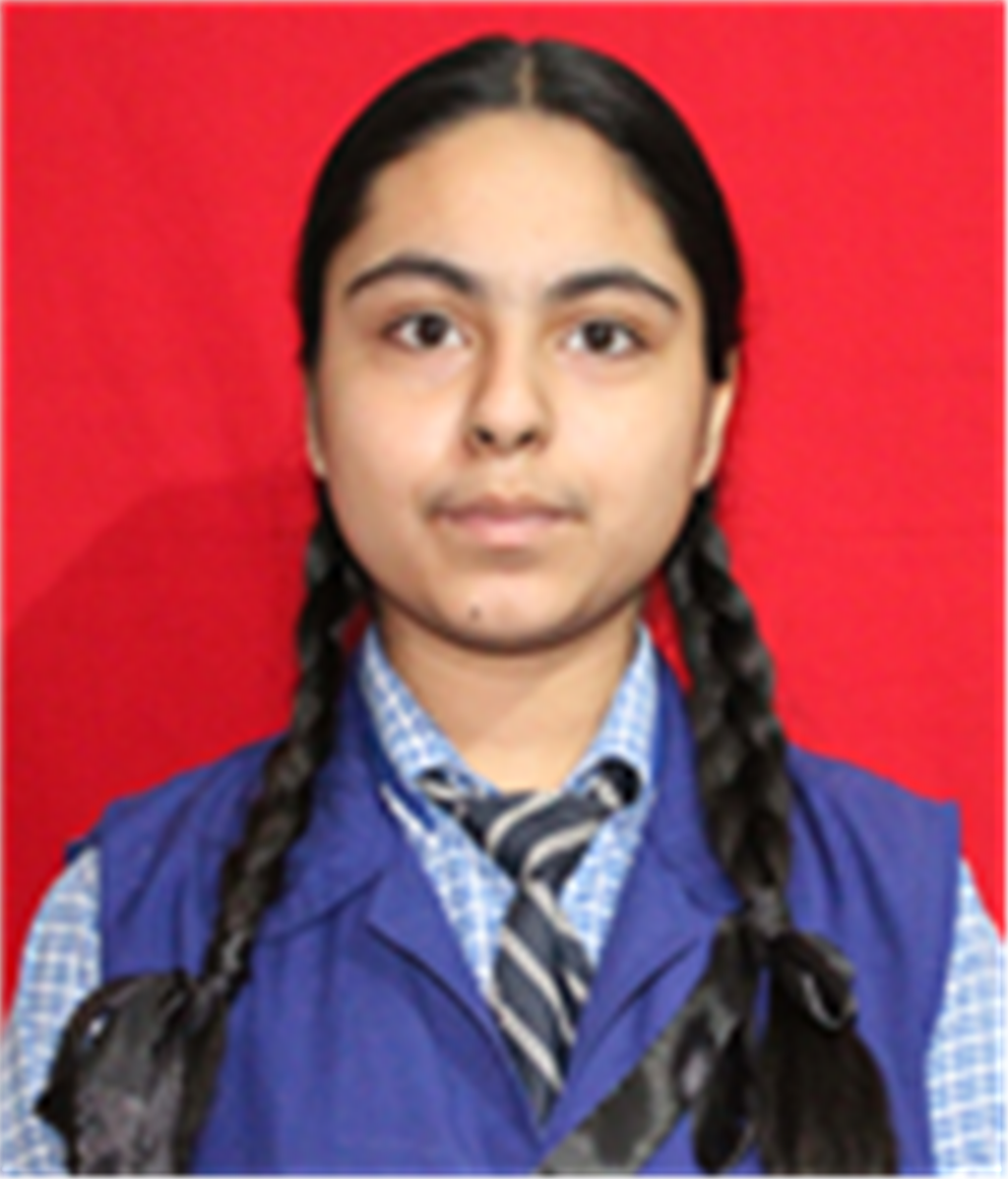 RAKHSHI MIRZA